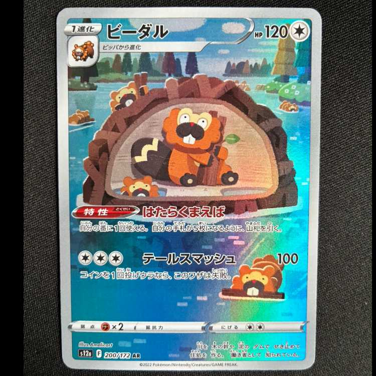 #ビーダル AR 200/172 1枚