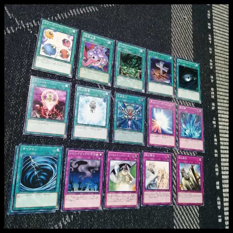 遊戯王　デッキ　デブリジャンド　1103環境　クェーサー　[04800] 1枚