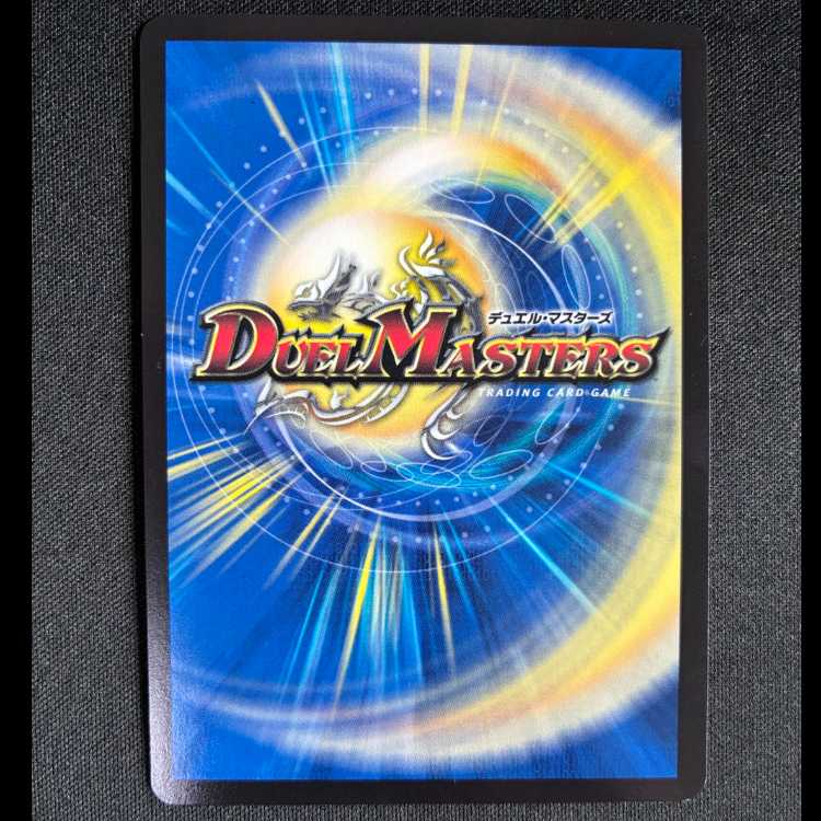 #完全不明 SR DMR-19 S4/S9 1枚