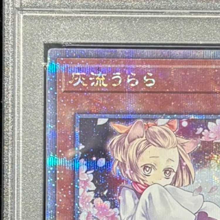 【PSA9】灰流うらら (絵違い) [25th] {QCAC-JP050} 1枚