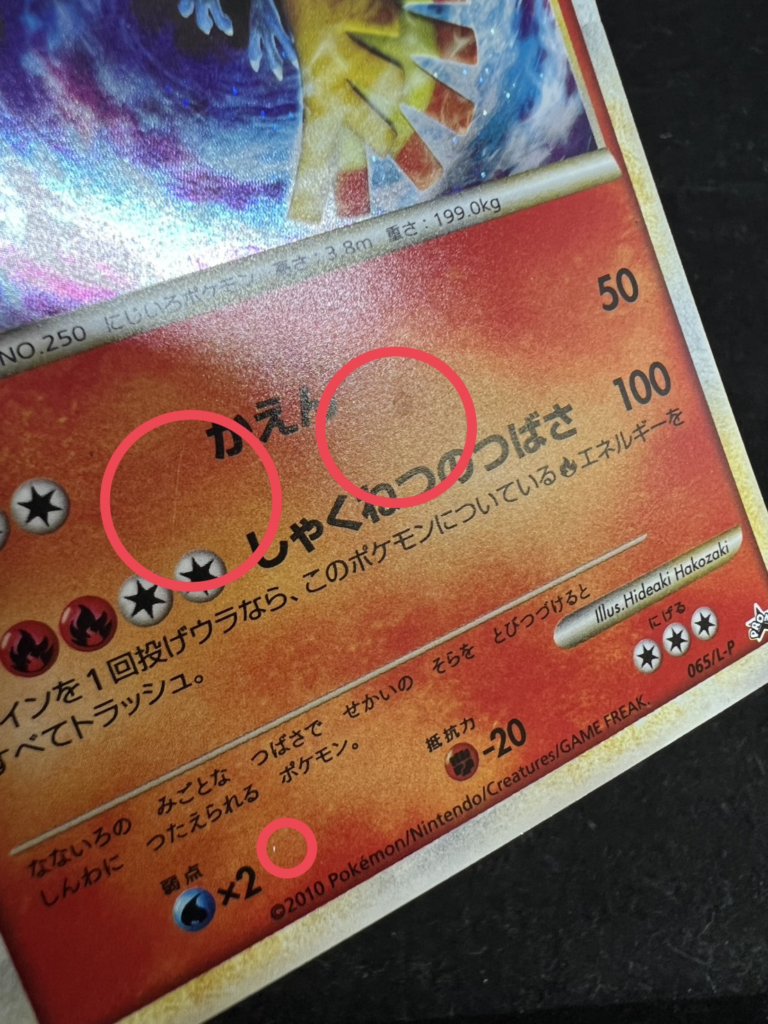 〔状態C〕ホウオウ【P】{065/L-P} 1枚