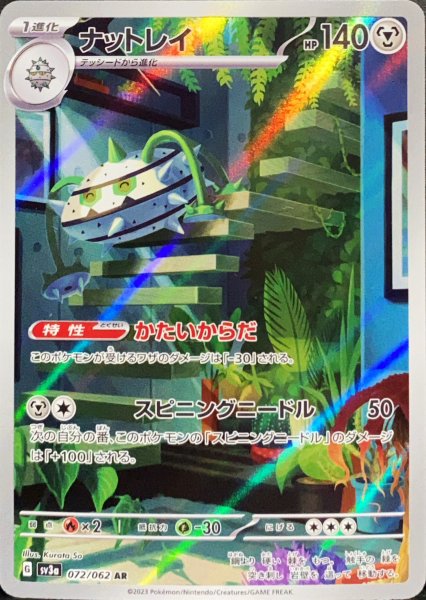 ナットレイ (AR) {072/062} [SV3a/レイジングサーフ] [SV] 1枚