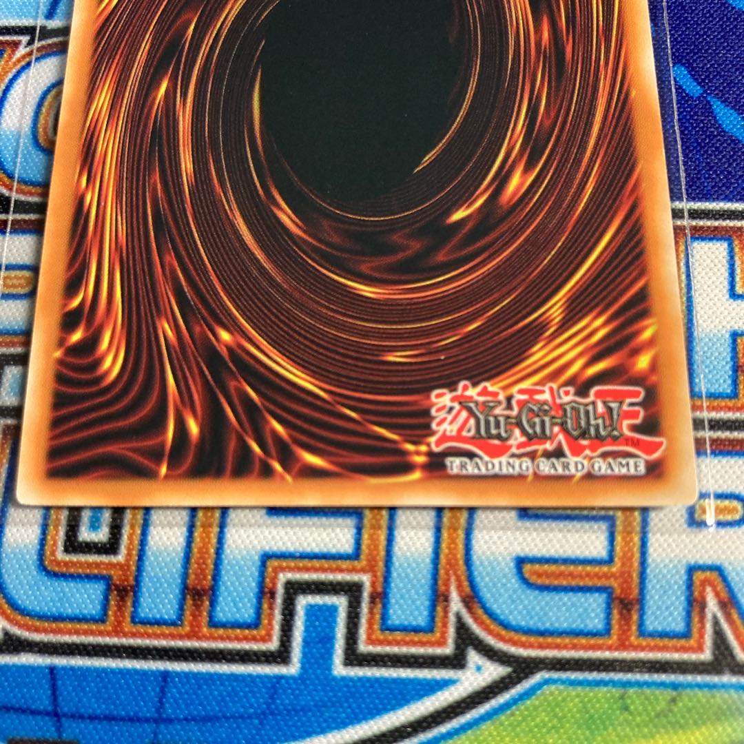 専用　万物創世龍　EU 1st