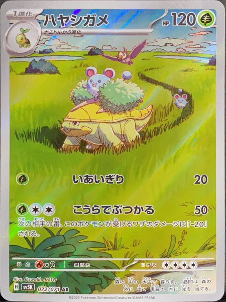 ハヤシガメ (AR) {072/071} [SV5K/ワイルドフォース] [SV] 1枚