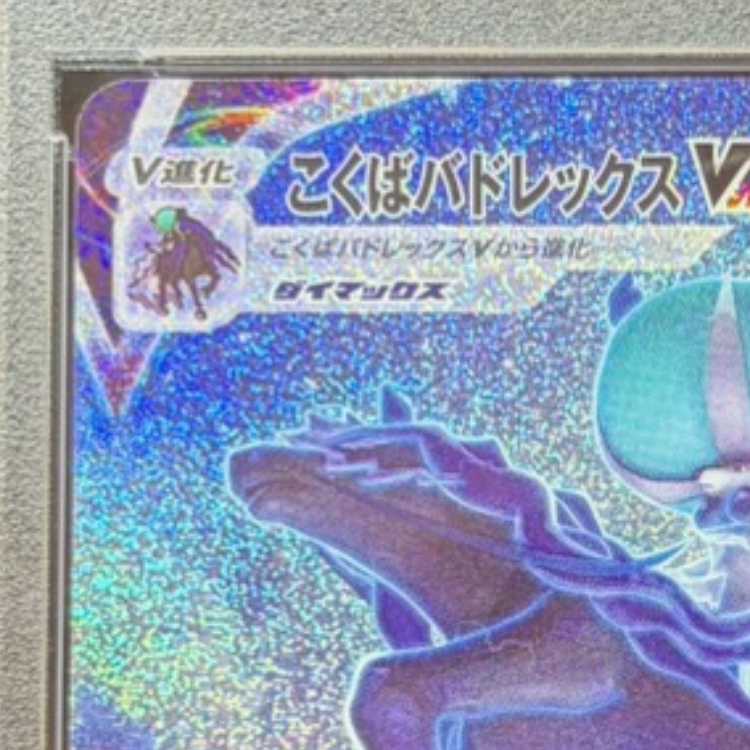 【PSA10】こくばバドレックスVMAX HR 086/070 1枚
