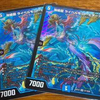 海姫龍 ライベルモット・ビターズ 2枚