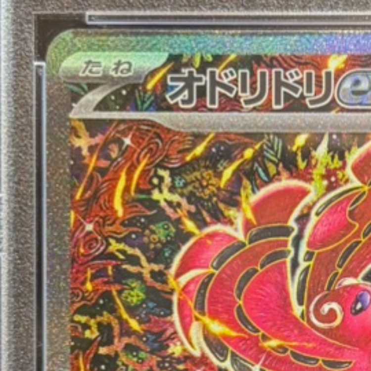 【PSA10】オドリドリex SAR 111/080 1枚