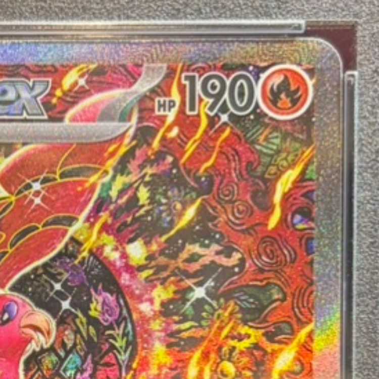 【PSA10】オドリドリex SAR 111/080 1枚