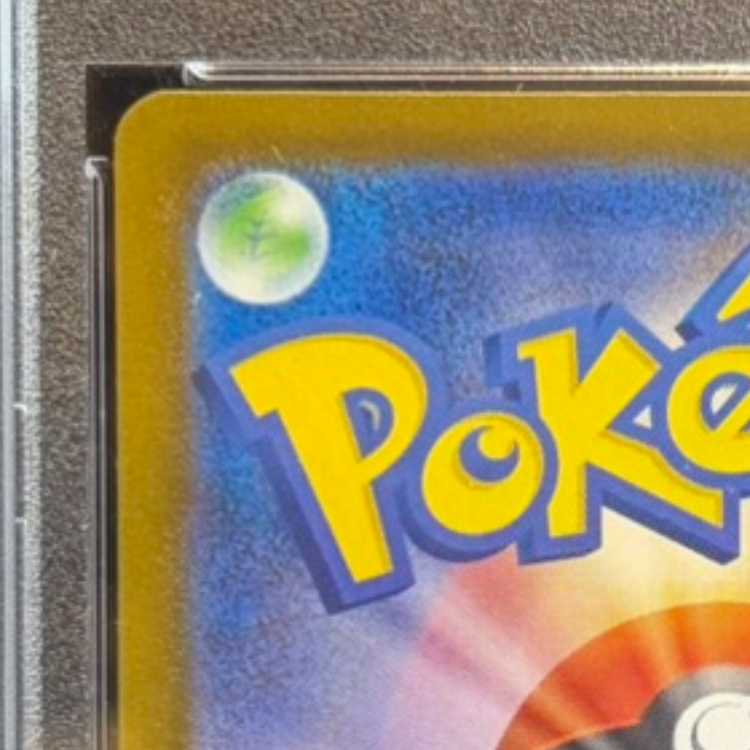 【PSA10】オドリドリex SAR 111/080 1枚