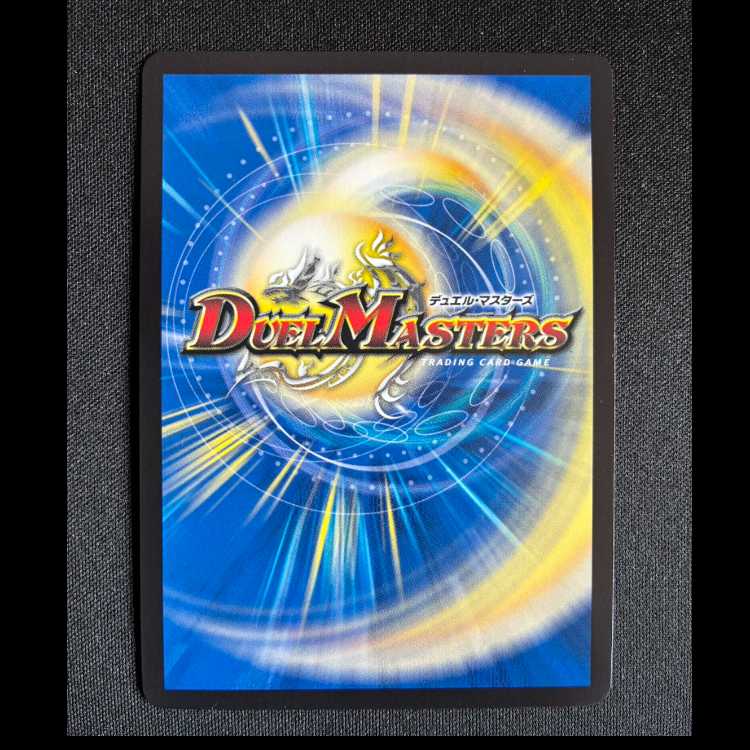 #デル・フィンの虹勲章 R P109/Y24 1枚