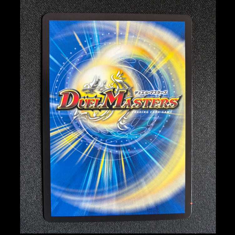 #デル・フィンの虹勲章 R P109/Y24 1枚