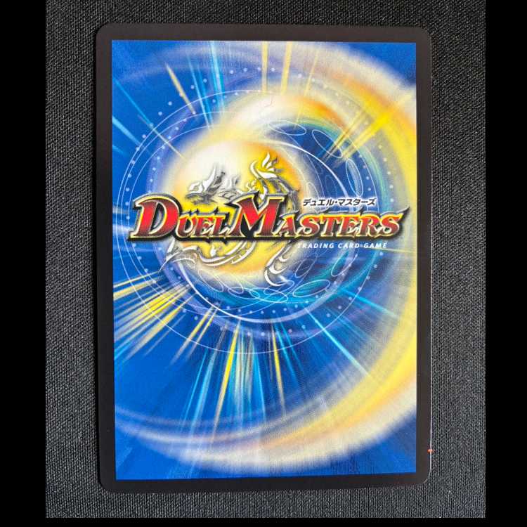 #デル・フィンの虹勲章 R P109/Y24 1枚