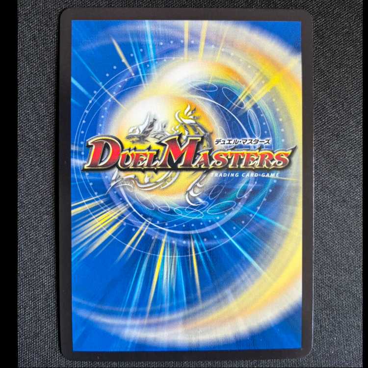 #デル・フィンの虹勲章 R P109/Y24 1枚