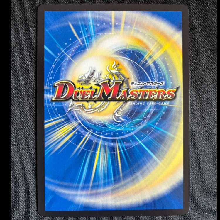 #デル・フィンの虹勲章 R P109/Y24 1枚