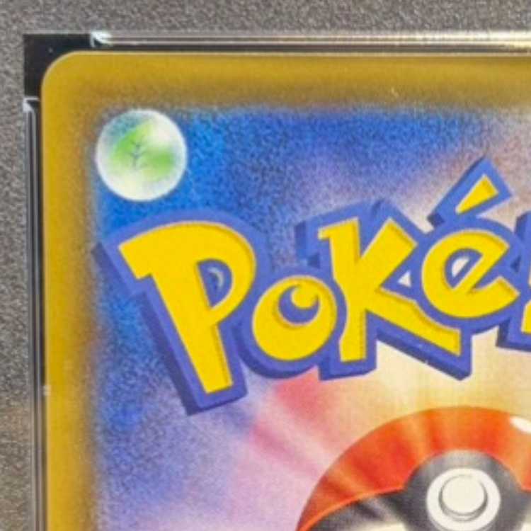 【PSA10】リーフィアVMAX HR 089/069 1枚