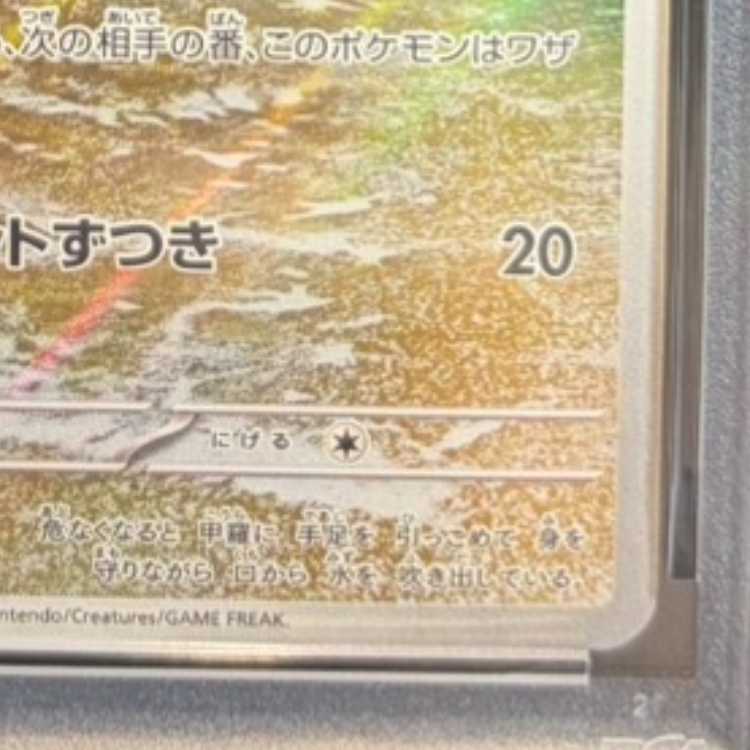 【PSA10】ゼニガメ AR 170/165 1枚