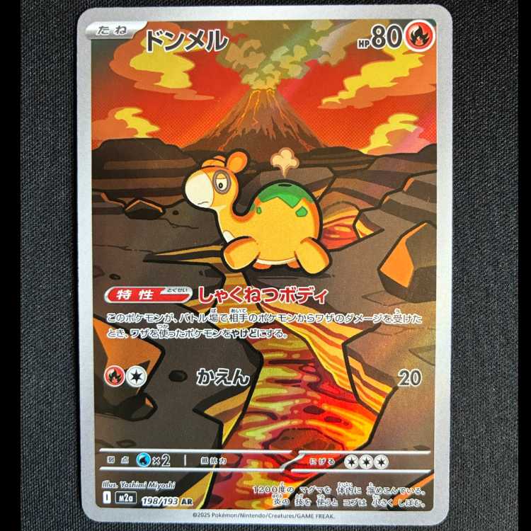 #ドンメル AR 198/193 1枚