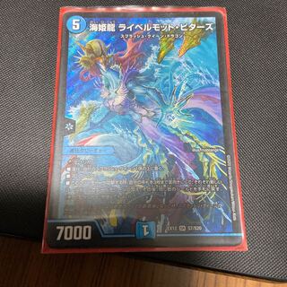 海姫龍 ライベルモット・ビターズ SR