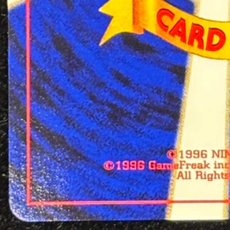 ブラッキー [プレミアムファイル2] [旧裏] 1枚