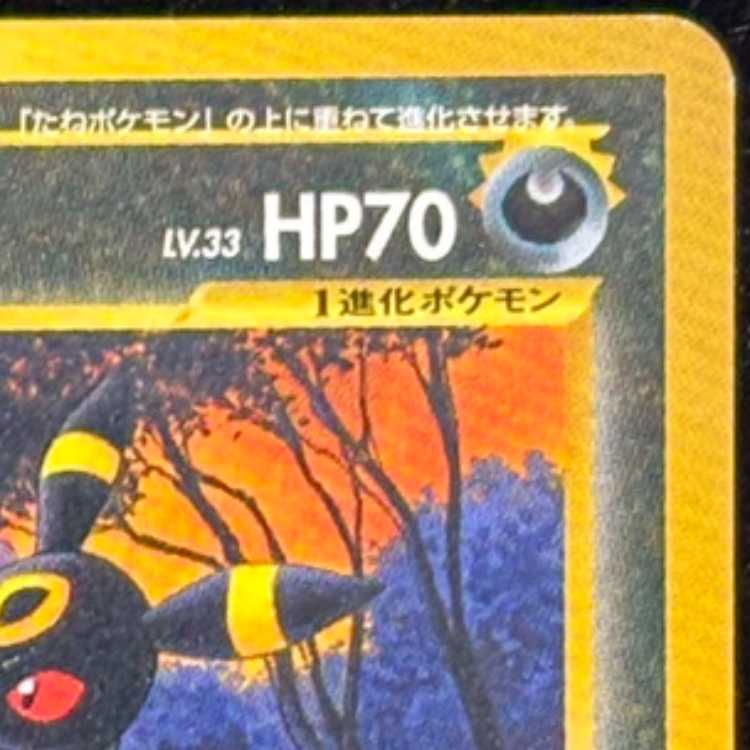 ブラッキー [プレミアムファイル2] [旧裏] 1枚