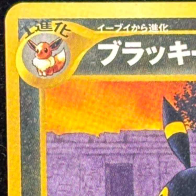 ブラッキー [プレミアムファイル2] [旧裏] 1枚