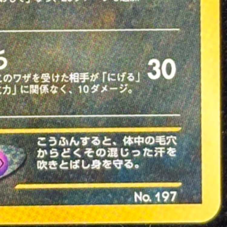 ブラッキー [プレミアムファイル2] [旧裏] 1枚