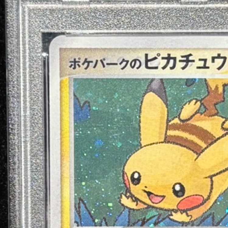 【PSA10】 ポケパークのピカチュウ 《フォレストシート》 (プロモ) {004/009} [PCG] 1枚