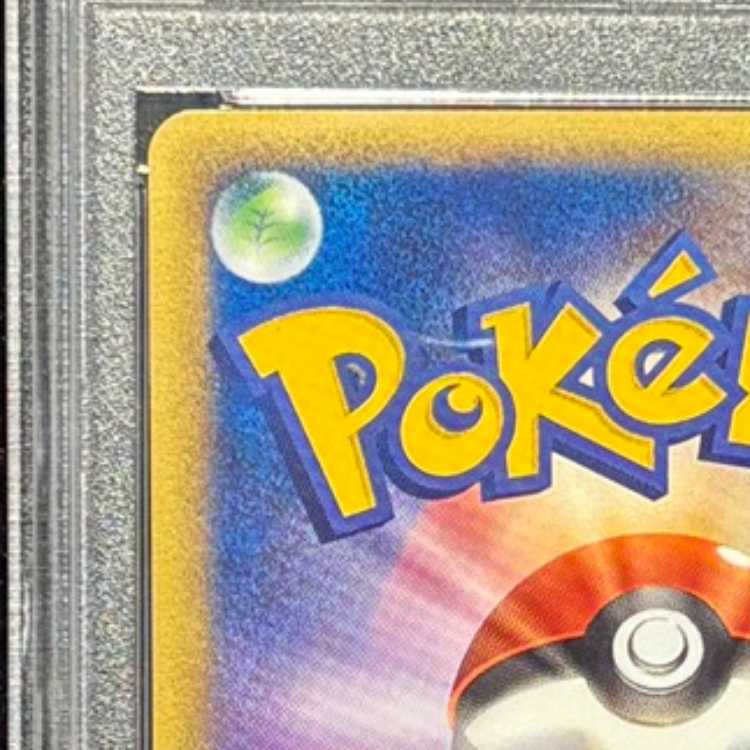 【PSA10】 ポケパークのピカチュウ 《フォレストシート》 (プロモ) {004/009} [PCG] 1枚