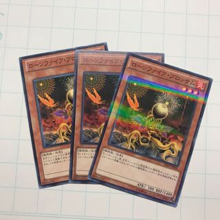 ローンファイア・ブロッサム