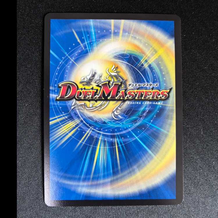 #完全不明 SR S1/S4 1枚