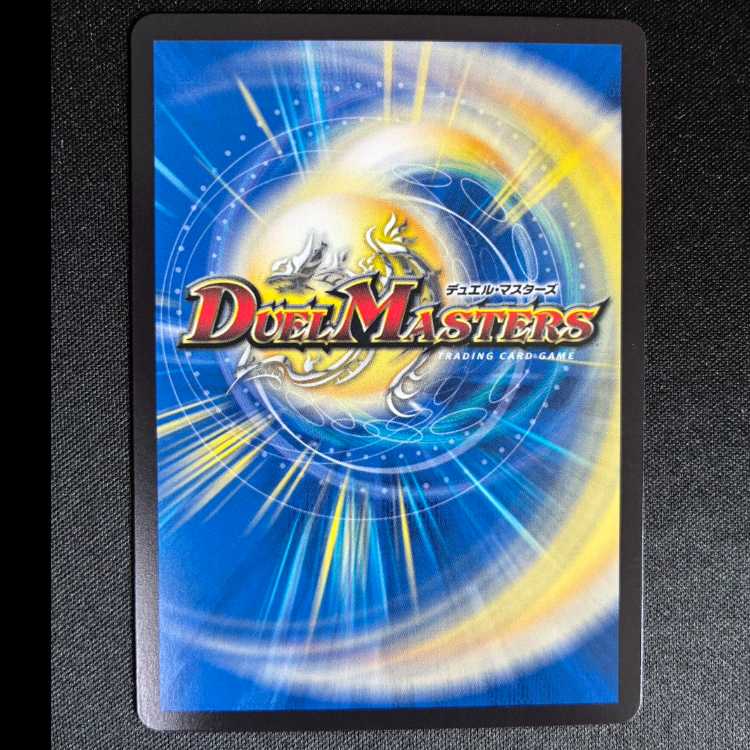 #デル・フィンの虹勲章 R P109/Y24 1枚