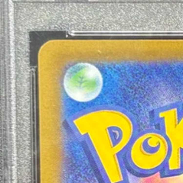 【PSA10】グレイシアVSTAR SAR 217/172 1枚