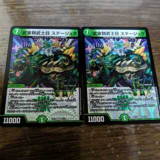 武家類武士目 ステージュラ