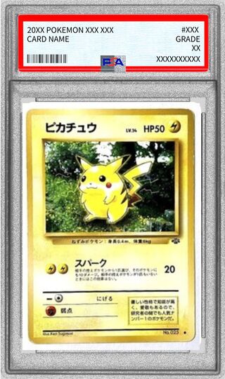 〔PSA10鑑定済〕ピカチュウ LV.14(マークあり)【●】{旧裏} 1