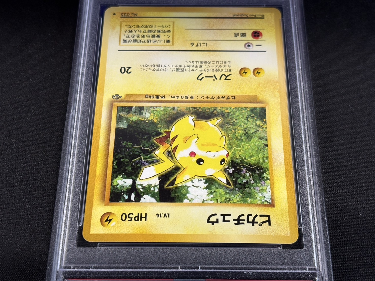 〔PSA10鑑定済〕ピカチュウ LV.14(マークあり)【●】{旧裏} 1枚