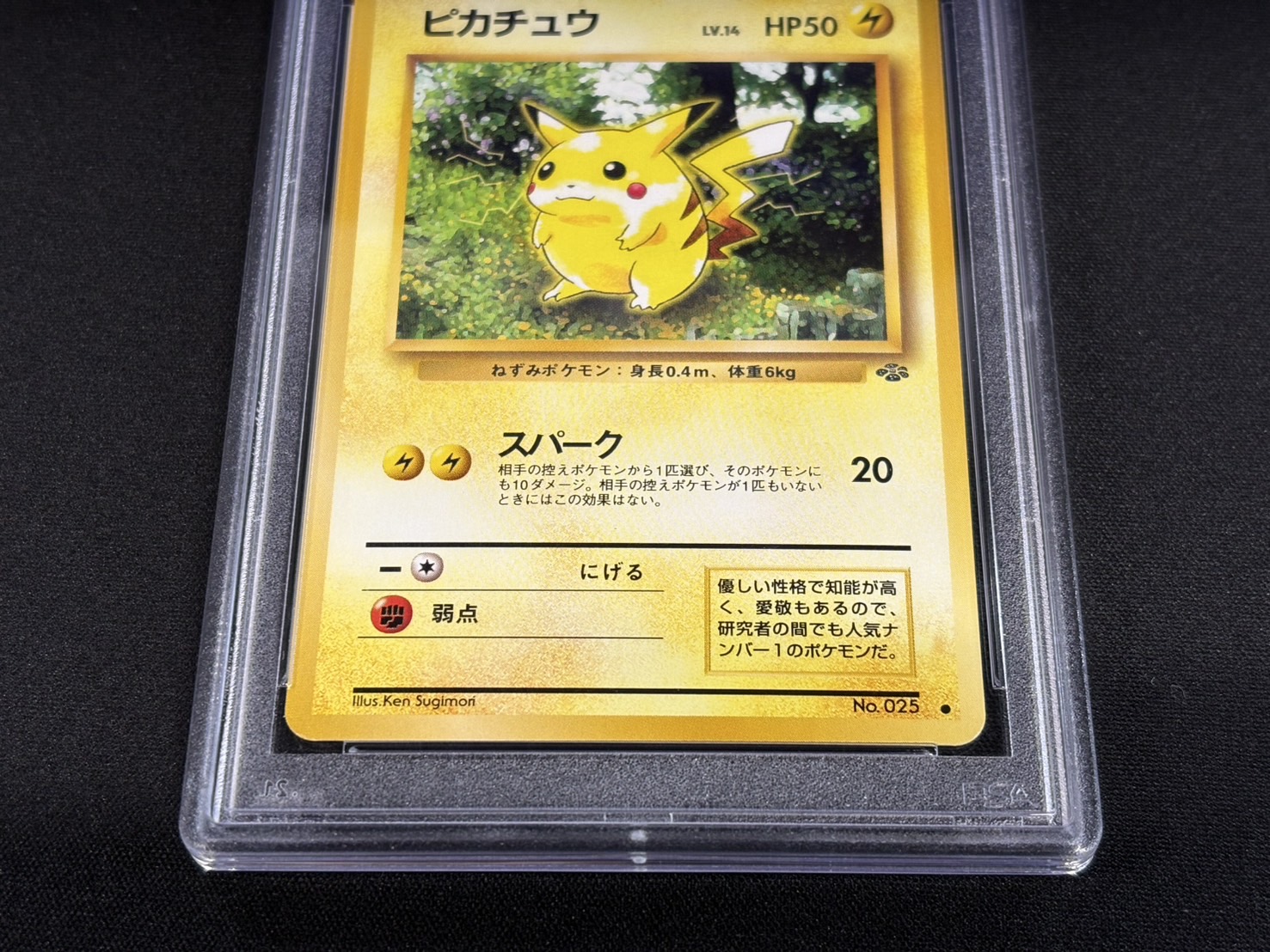 〔PSA10鑑定済〕ピカチュウ LV.14(マークあり)【●】{旧裏} 1枚