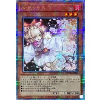 〔状態A-〕灰流うらら【クォーターセンチュリーシークレット】{RC04-JP009}《モンスター》 1枚