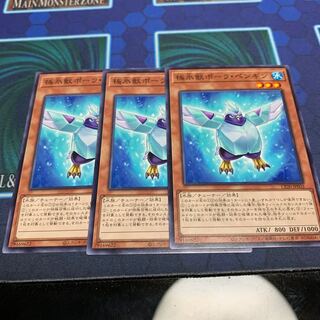 極氷獣ポーラ・ペンギン　専用