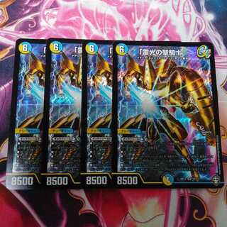 「雷光の聖騎士」