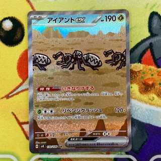 S165 アイアントex SAR 130/106 1枚