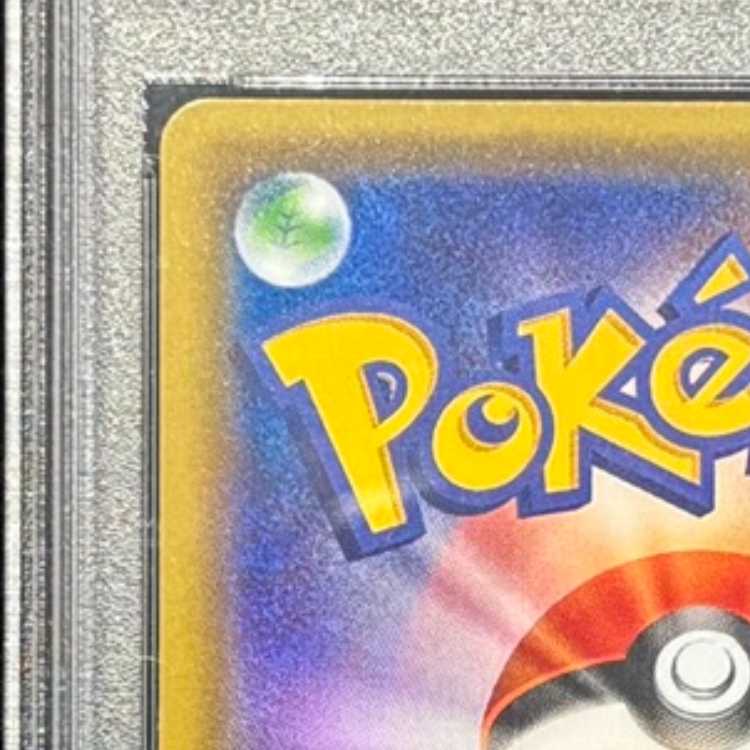 【PSA10】ナタネ SR 070/066 1枚