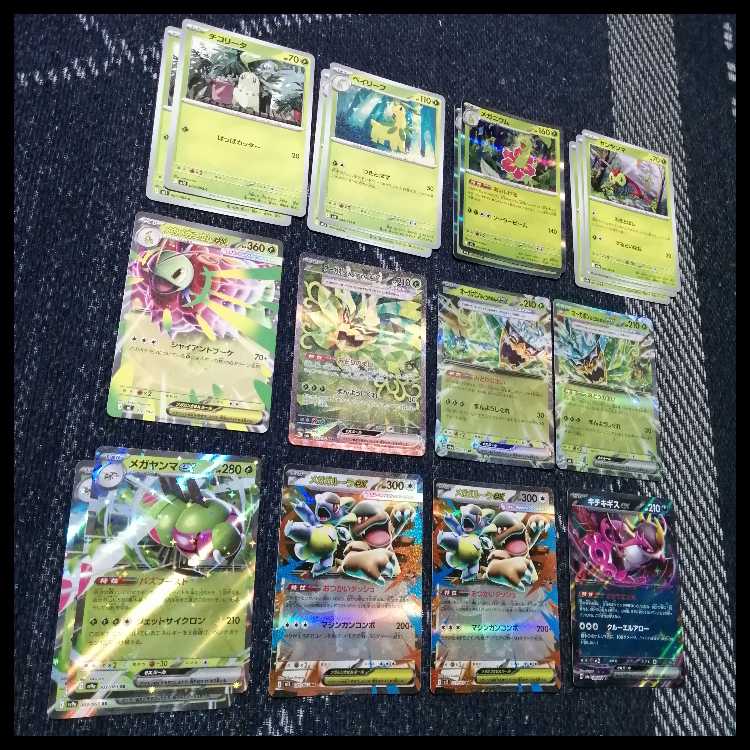 ポケモンカード　デッキ　メガメガニウムex　オーガポン　SAR　[04839] 1枚