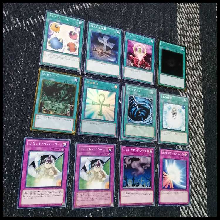 遊戯王　デッキ　デブリジャンド　1103環境　クェーサー　[04834] 1枚