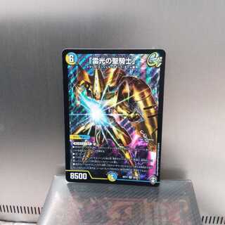 「雷光の聖騎士」