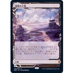 [EX+](フルアート)湿地の干潟/Marsh Flats《日本語》【ZNE】 1枚