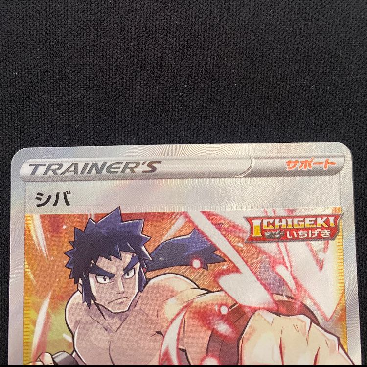 シバ SR 079/070 1枚