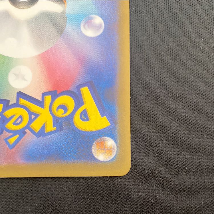 スグリ SAR 230/187 1枚