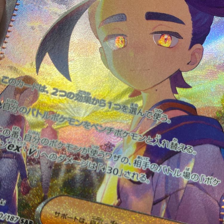 スグリ SAR 230/187 1枚