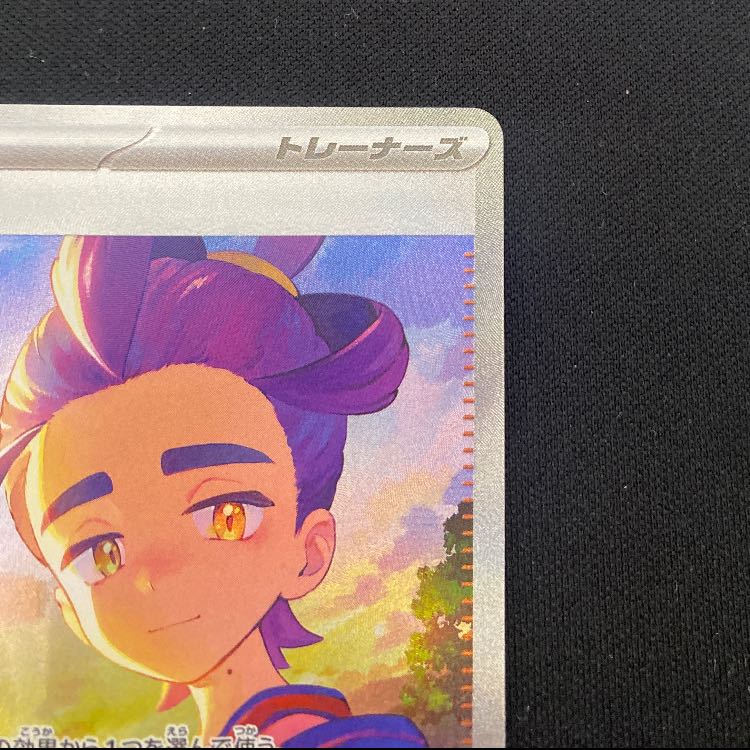 スグリ SAR 230/187 1枚