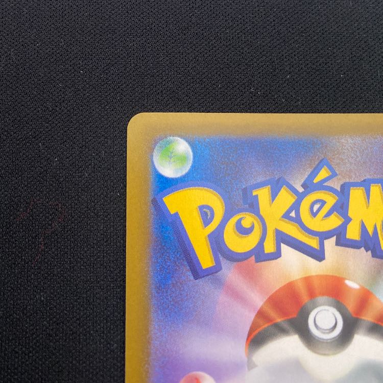 スグリ SAR 230/187 1枚